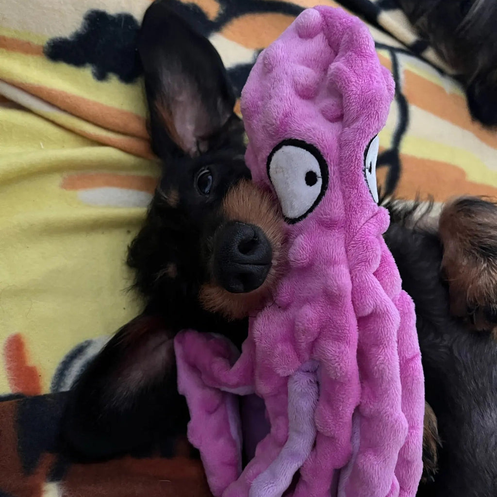 Juguete Sonoro en Forma de Pulpo para Perros – Suave, Seguro y Súper Divertido