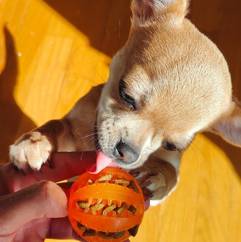 Pelota Interactiva para Perros | Juguete de Goma , Limpieza Dental y Dispensador de Comida