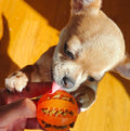 Pelota Interactiva para Perros | Juguete de Goma , Limpieza Dental y Dispensador de Comida
