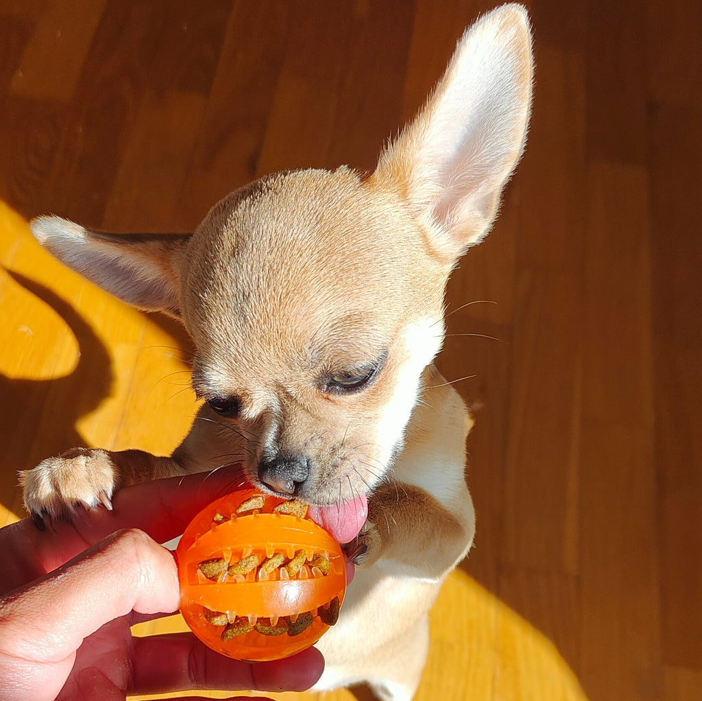 Pelota Interactiva para Perros | Juguete de Goma , Limpieza Dental y Dispensador de Comida
