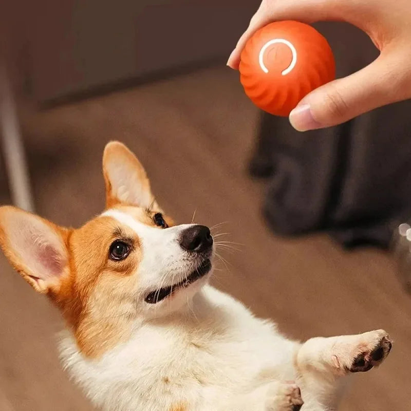 🐾 Pelota Interactiva Inteligente para Perros  –  Recargable por USB